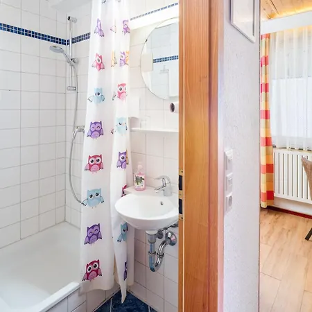 艾尔普林森豪夫酒店 酒店 2*