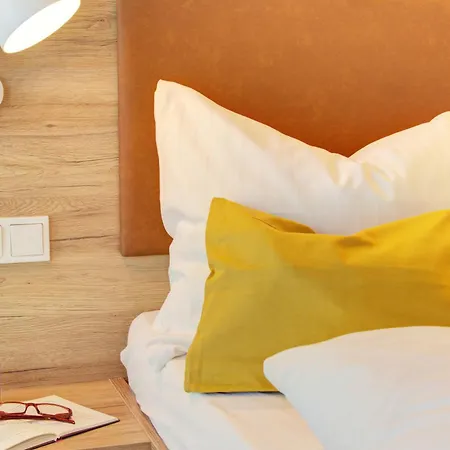 艾尔普林森豪夫酒店 酒店 2*