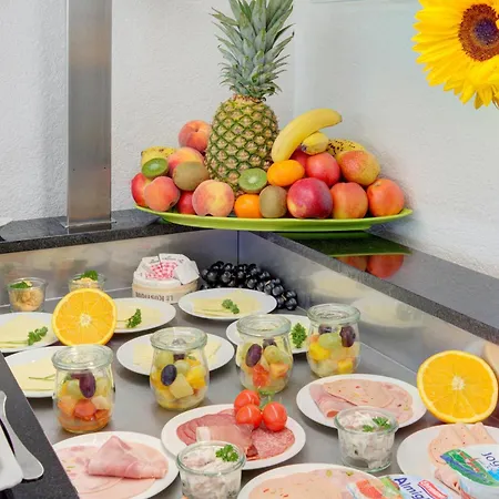 艾尔普林森豪夫酒店 2* 卡尔斯鲁厄