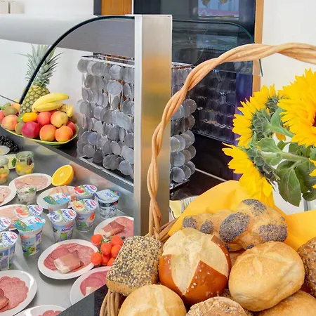 艾尔普林森豪夫酒店 酒店